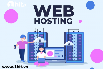 Có nhất thiết phải đăng ký tên miền, web hosting, thiết kế web từ 1 nhà cung cấp không